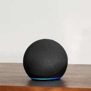 Smart Speaker with Voice Assistant